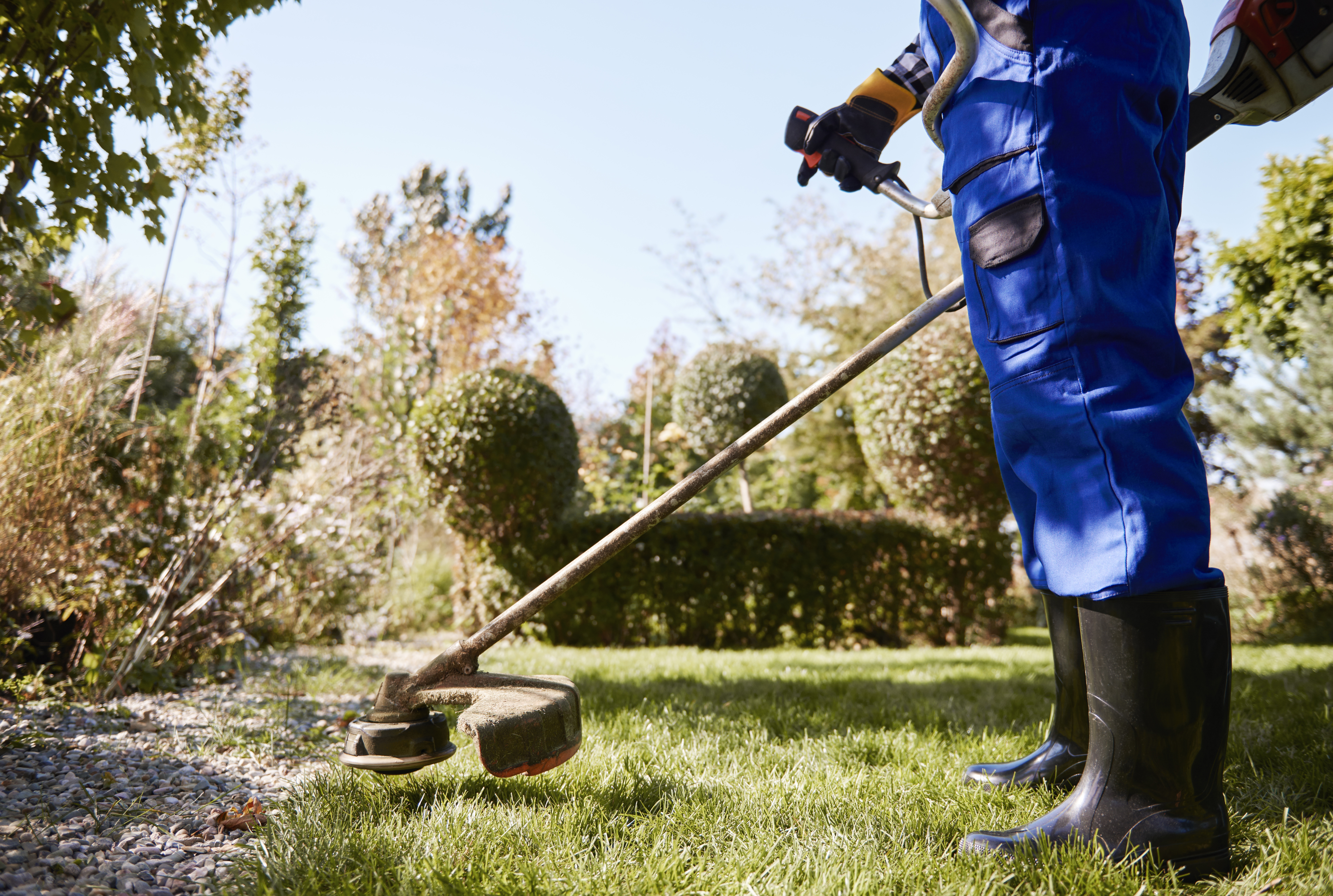 gardener with weedwacker and trimmer cutting grass garden
